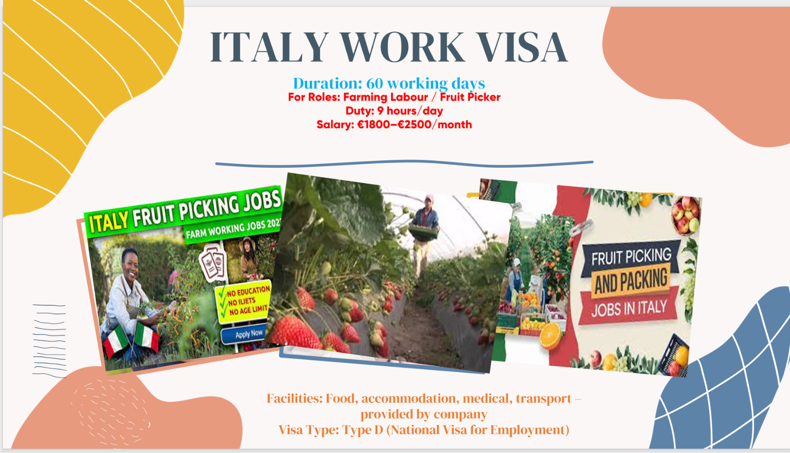 WhatsApp Image 2025-04-22 at 23.11.09_e7d40ea1